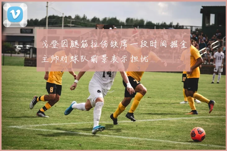 戈登因腿筋拉伤缺席一段时间掘金主帅对球队前景表示担忧