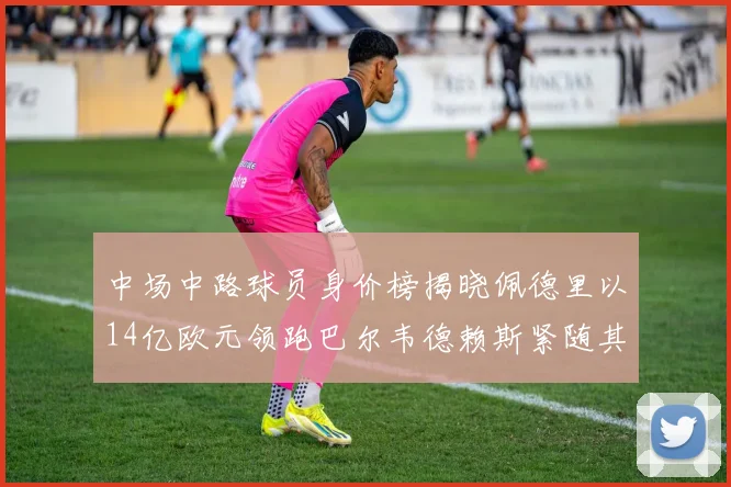 中场中路球员身价榜揭晓佩德里以14亿欧元领跑巴尔韦德赖斯紧随其后