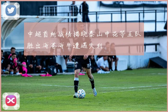 中超首轮战绩揭晓泰山申花等五队胜出海港海牛遭遇失利