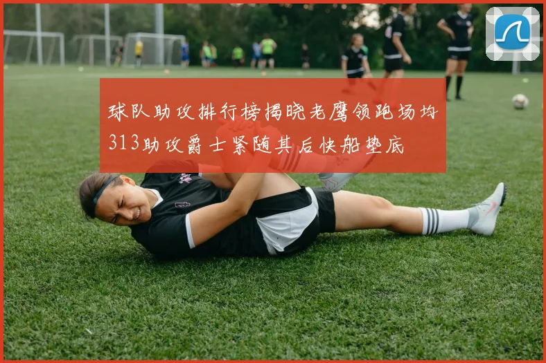 球队助攻排行榜揭晓老鹰领跑场均313助攻爵士紧随其后快船垫底