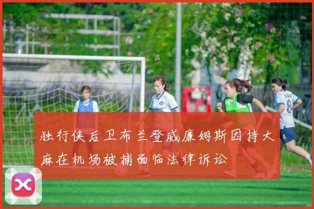 独行侠后卫布兰登威廉姆斯因持大麻在机场被捕面临法律诉讼