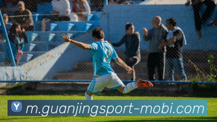 冠竞体育平台生态图